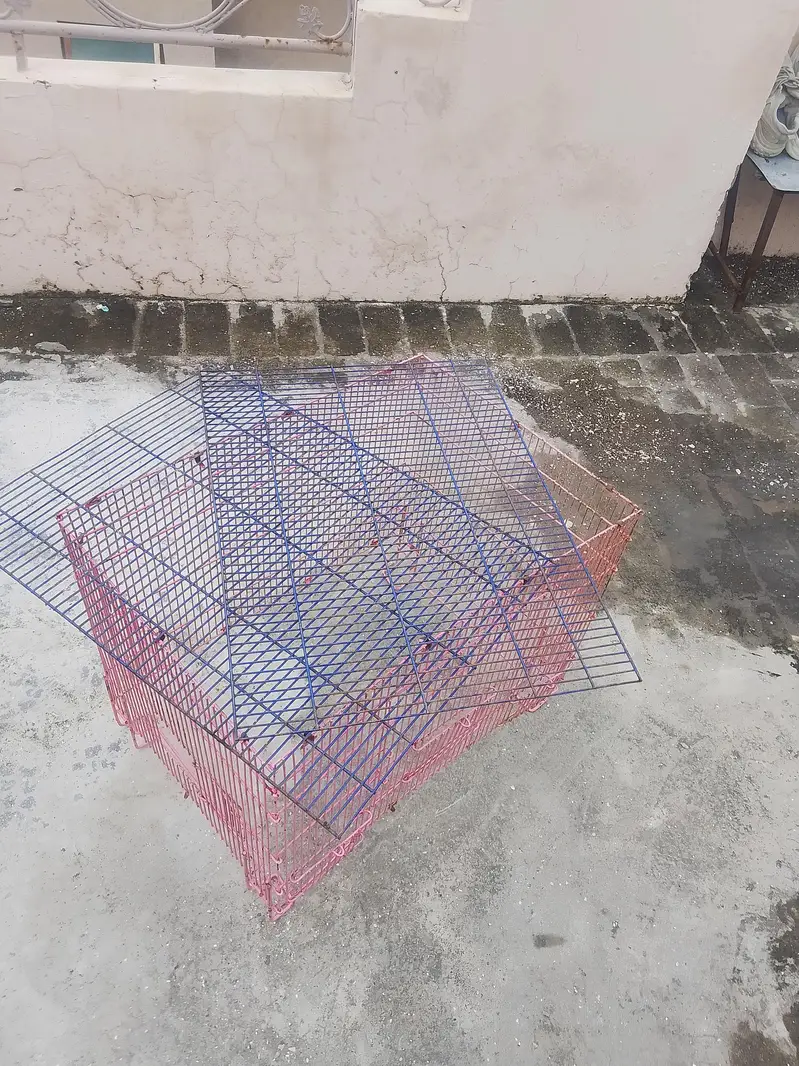 just like new parrot cage — photo 2