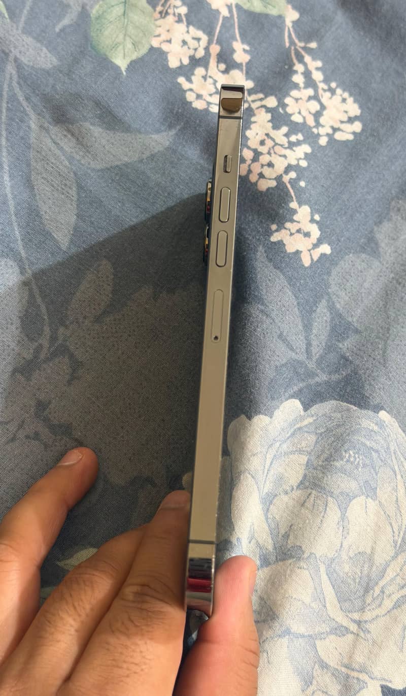 Apple iPhone 13 Pro Max 1