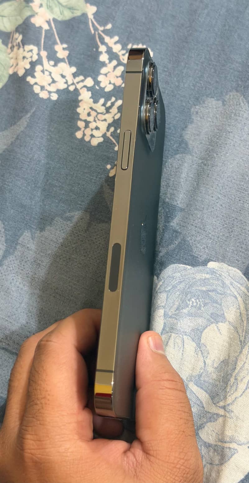 Apple iPhone 13 Pro Max 2