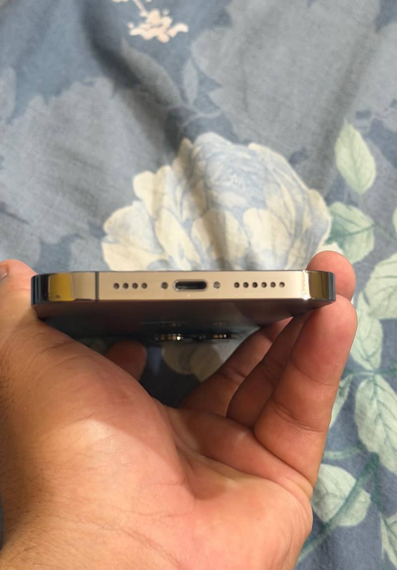 Apple iPhone 13 Pro Max 3