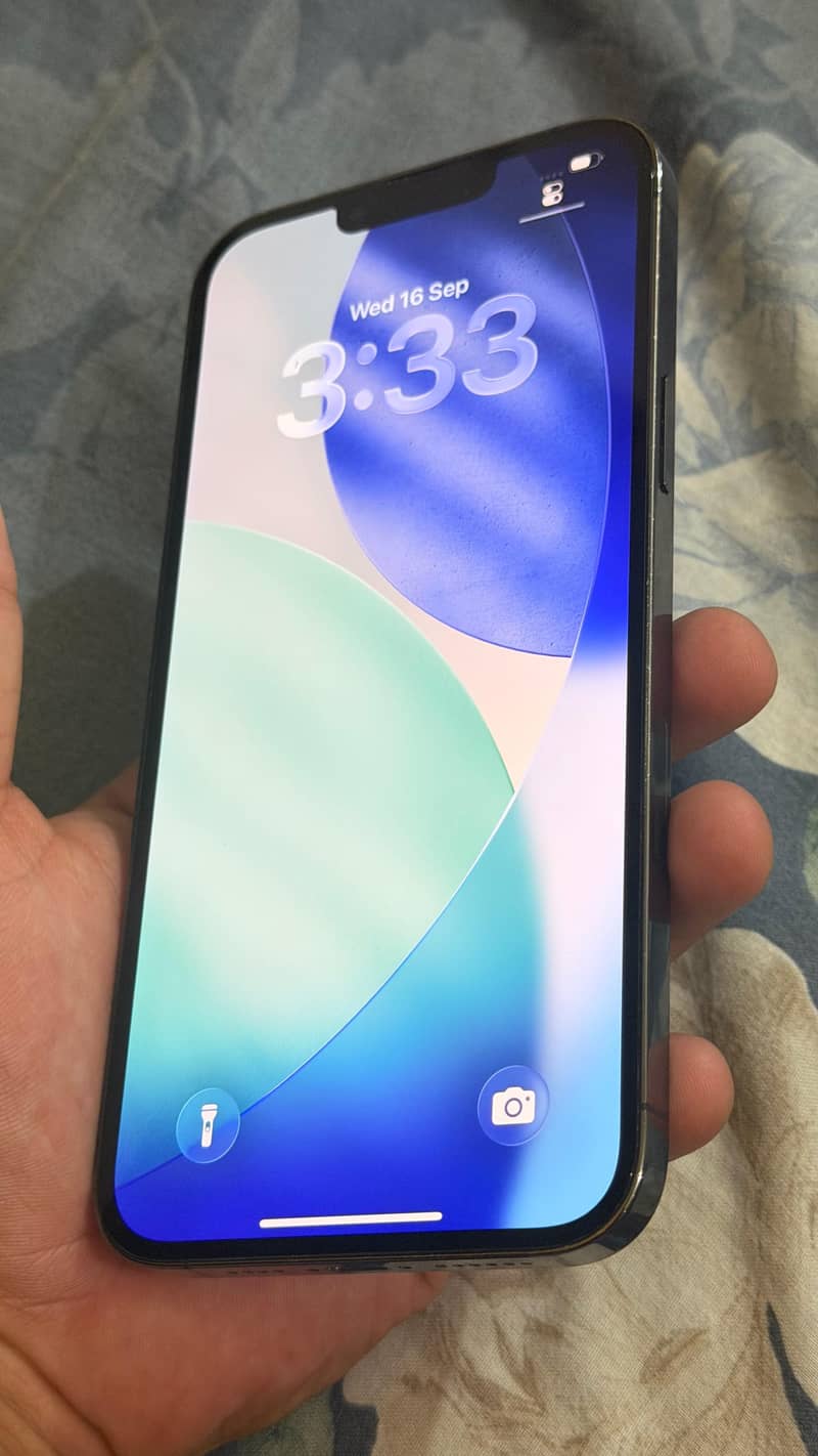 Apple iPhone 13 Pro Max 4
