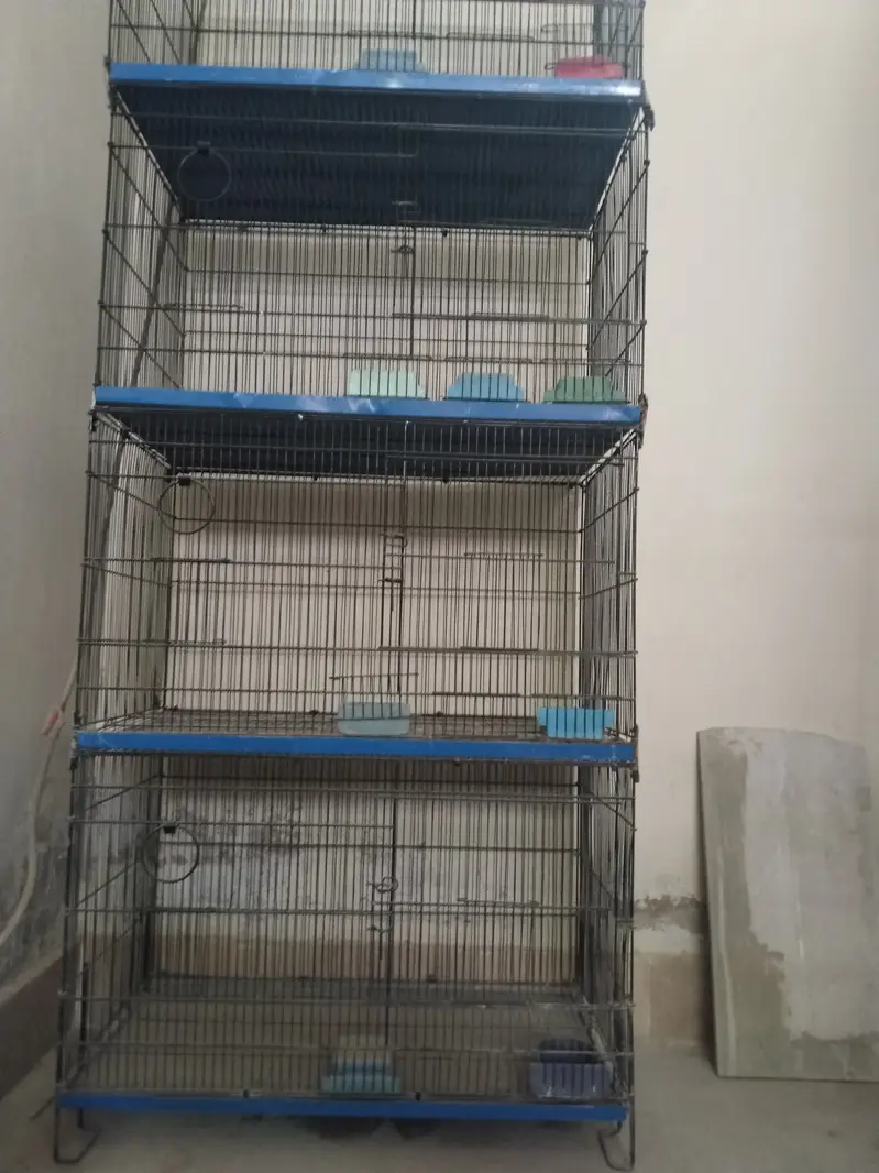 Birds Cage / Pinjira — photo 2