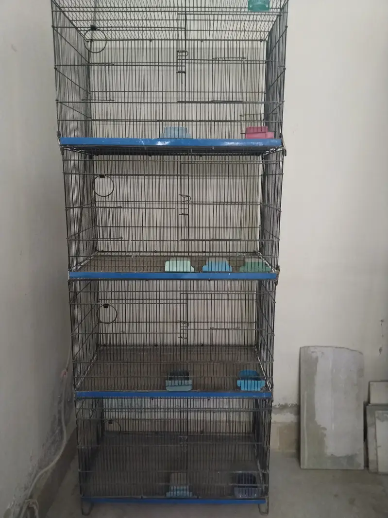 Birds Cage / Pinjira — photo 3