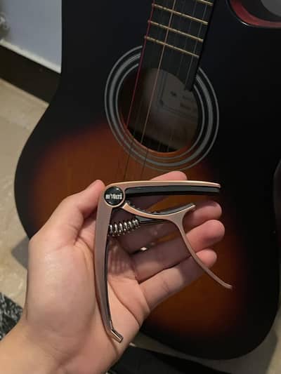 Acoustic guitar