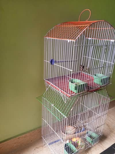birds cage