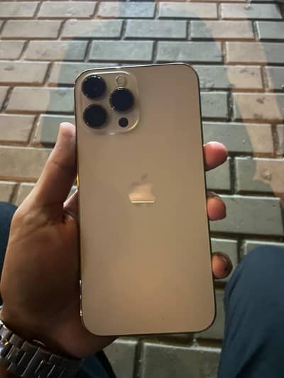 Apple iPhone 13 Pro Max