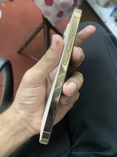 iPhone 13 pro
