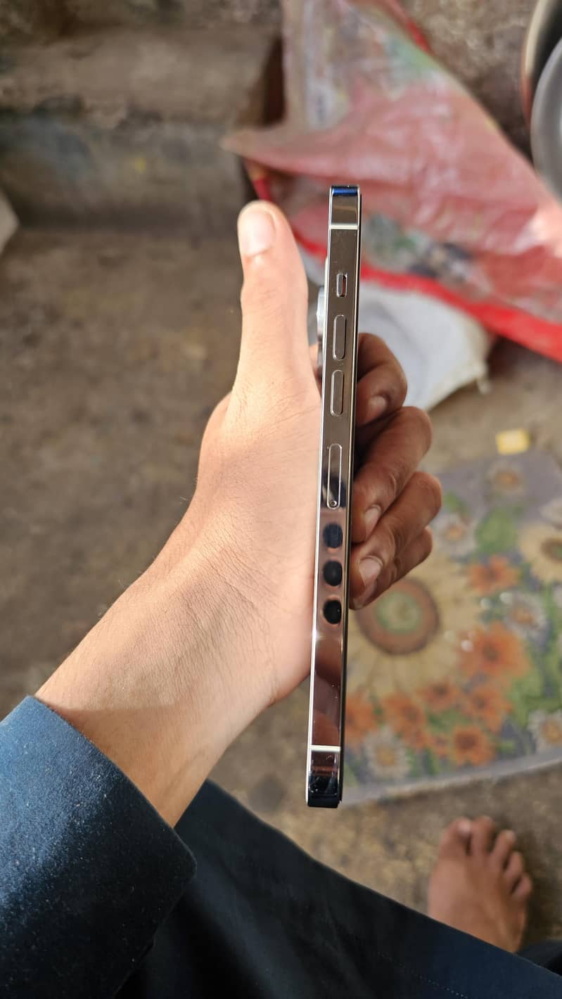 Apple iPhone 13 Pro Max 1