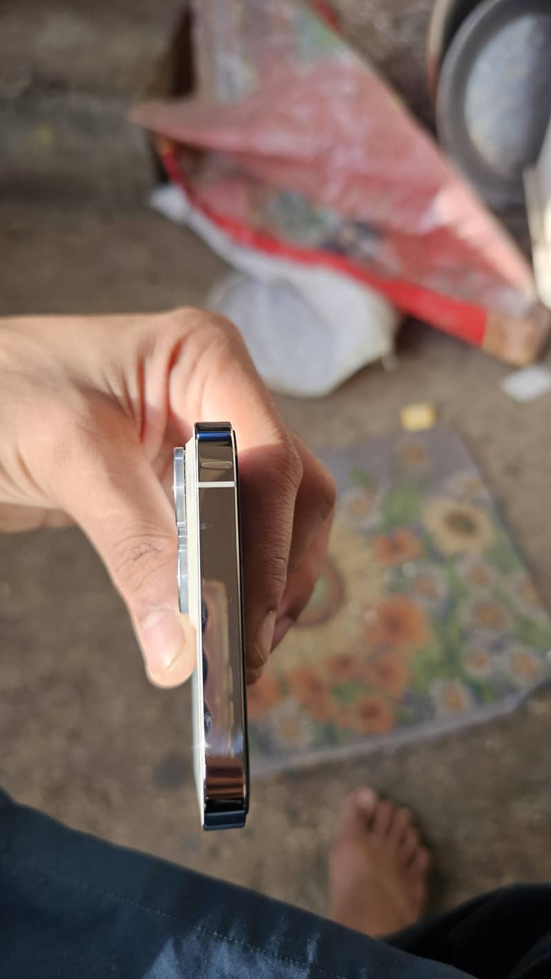 Apple iPhone 13 Pro Max 2