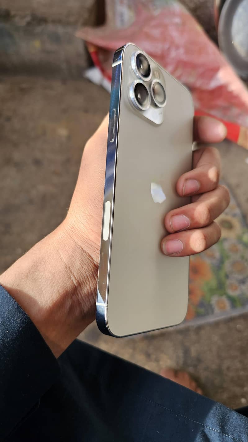 Apple iPhone 13 Pro Max 3
