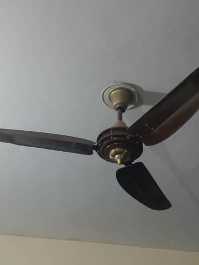 pak fan