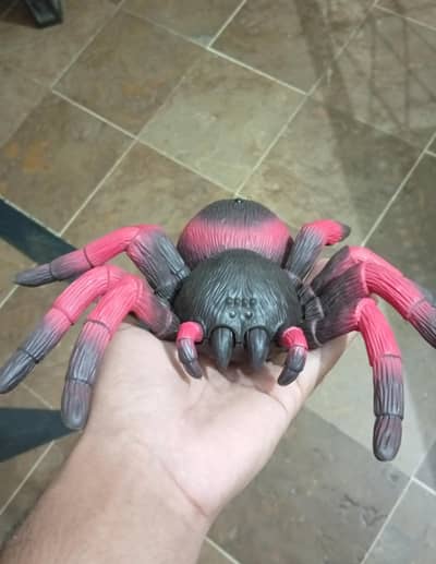Giant Spider LED Toy for Decoration Rs: 1800
