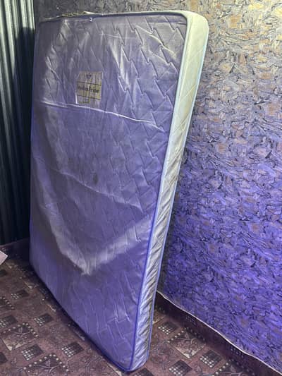 Media prime Foam used good quality content WhatsApp 03456103456