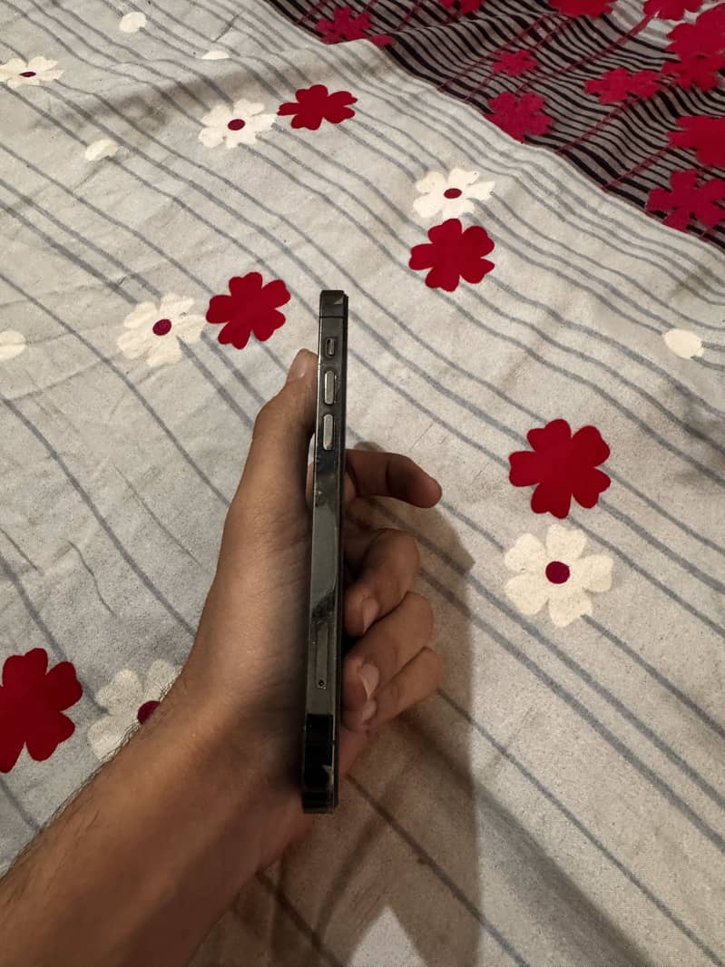 Apple iPhone 12 Pro 3