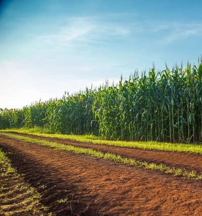 AGRICULTURAL LAND FOR COMMERCIAL USE ON EXPRESS WAY CANAL ROAD FAISALB