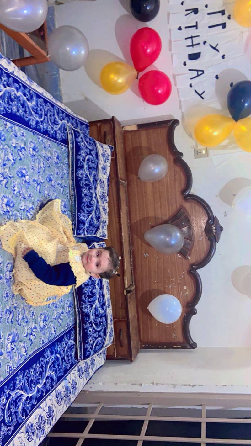 dabal bed 2
