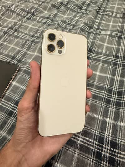 iPhone 12pro