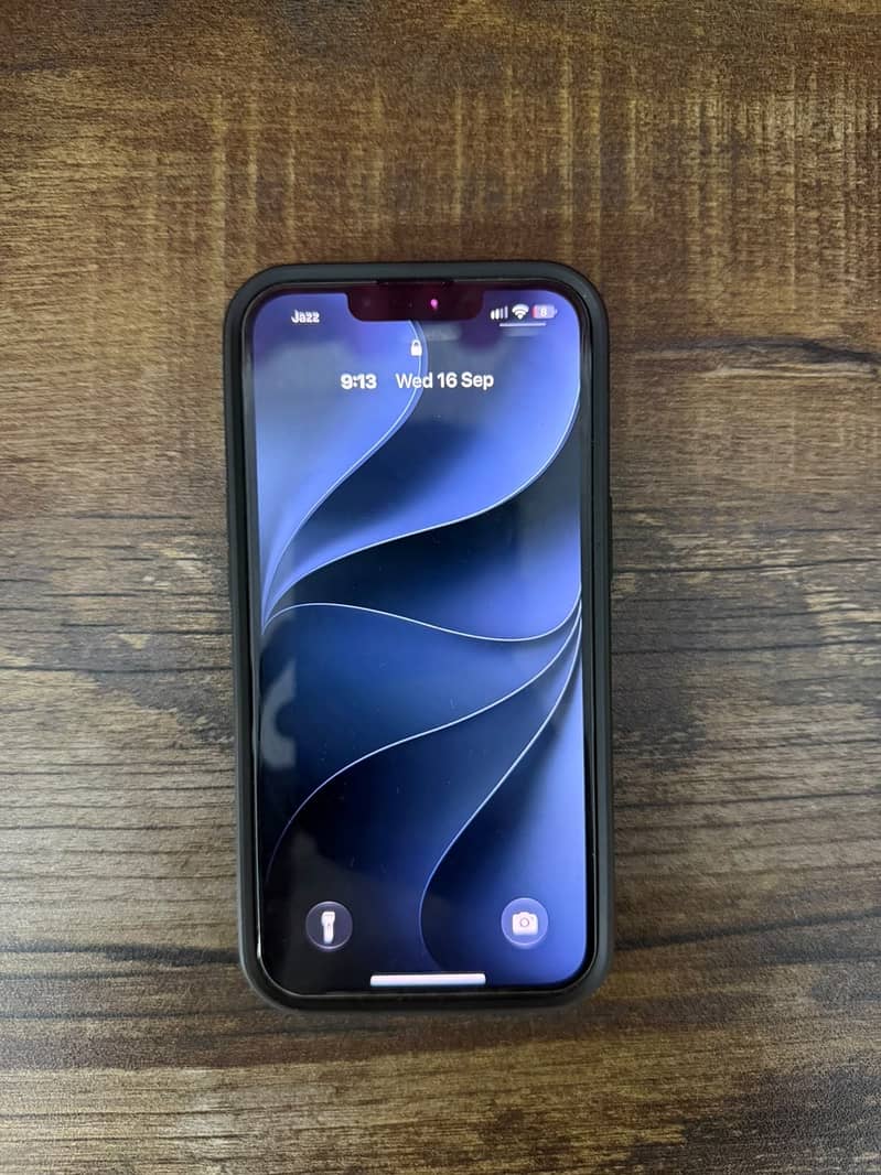 Apple iPhone 13 0