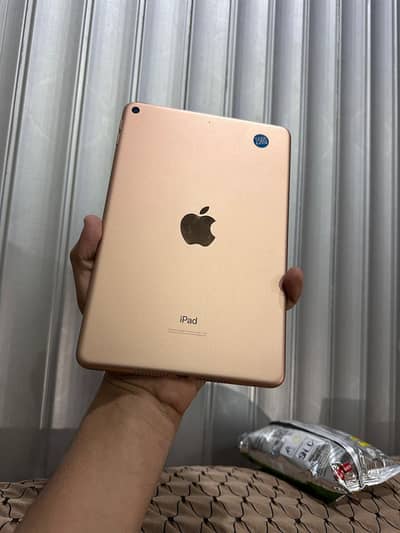 I Pad Mini 5 ( 256 GB ) Wifi Model For Sale Condition 10/10
