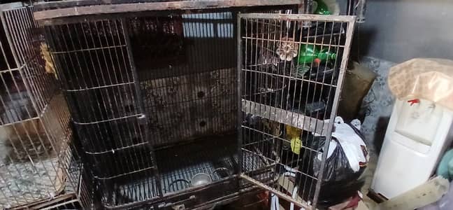 Used Metal cage for For Grey,Macaw or any mid-large birds