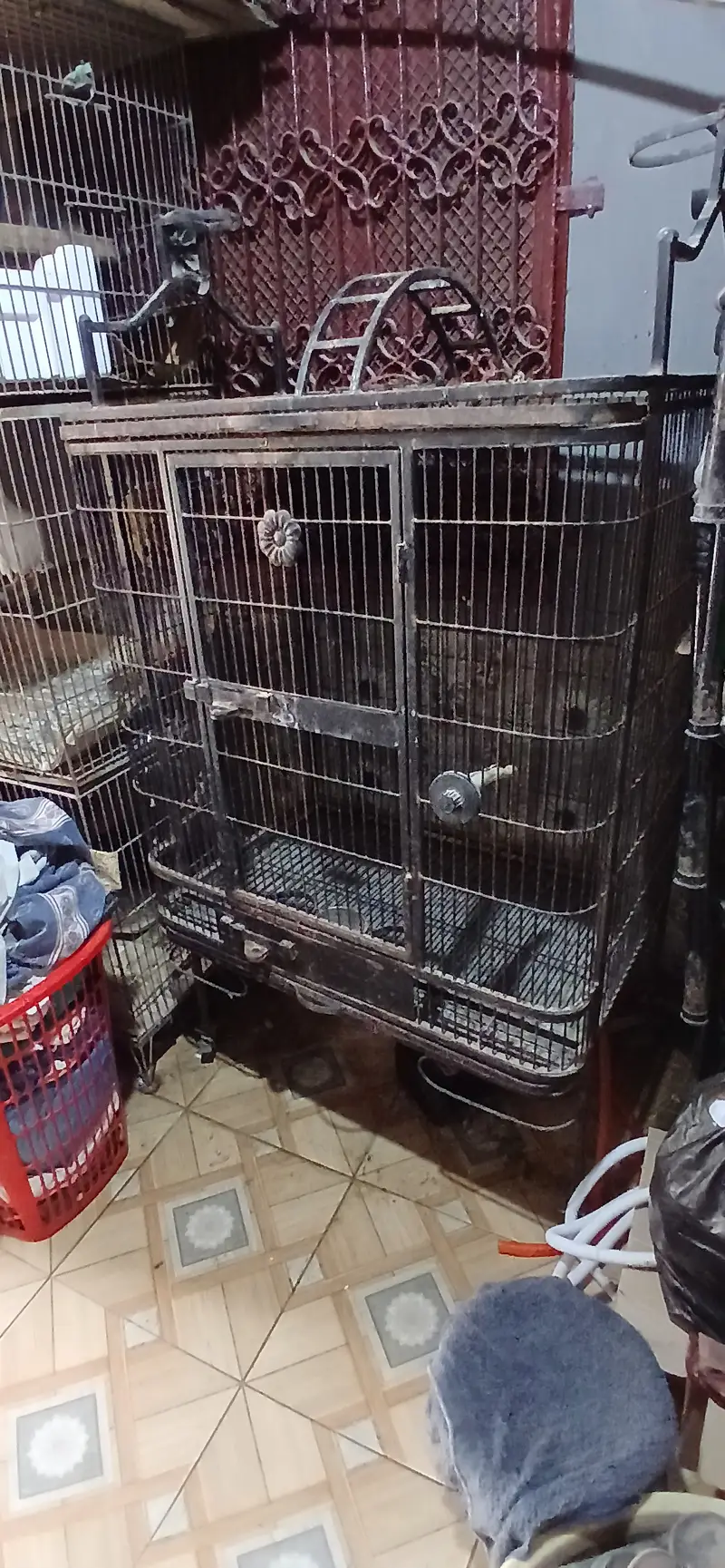 Used Metal cage for For Grey,Macaw or any mid-large birds — photo 3