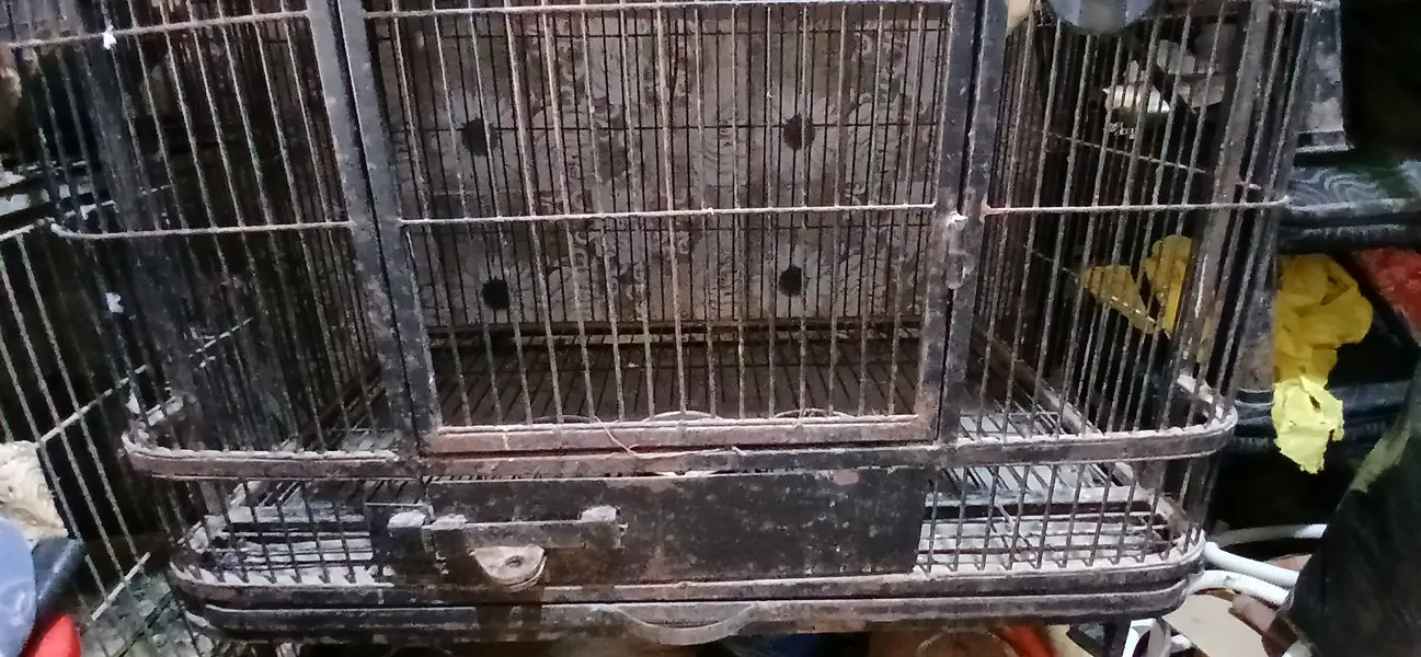 Used Metal cage for For Grey,Macaw or any mid-large birds — photo 4