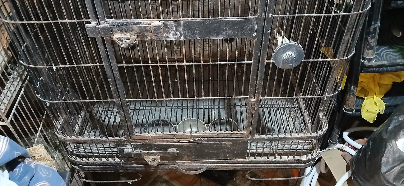 Used Metal cage for For Grey,Macaw or any mid-large birds — photo 9