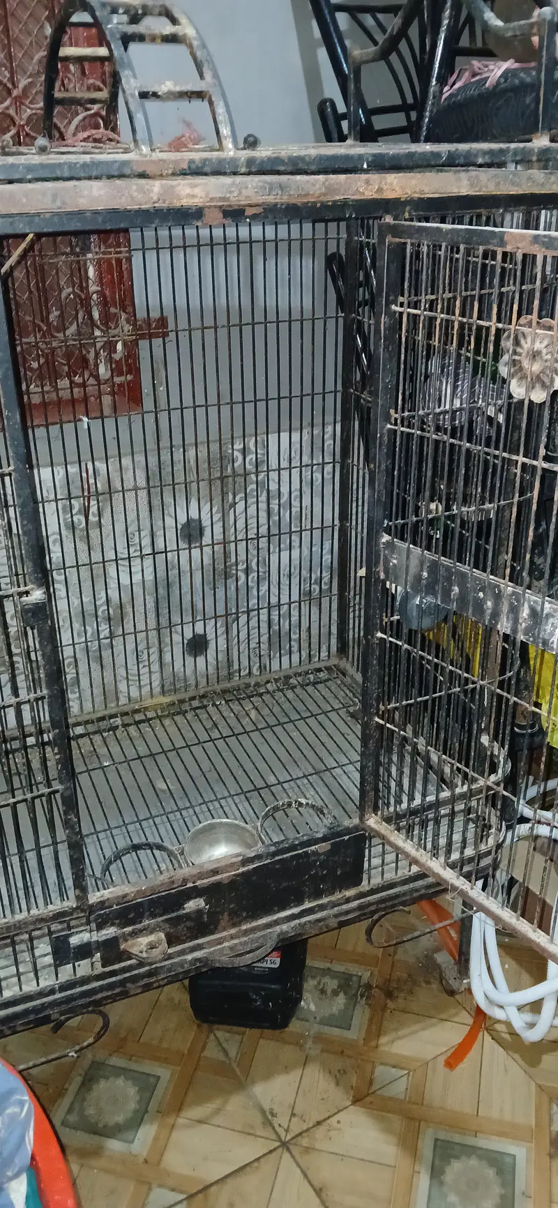 Used Metal cage for For Grey,Macaw or any mid-large birds — photo 11