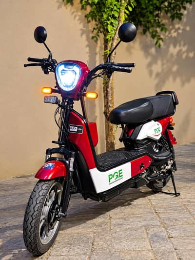 PGE-Electric Scooty 9 months used batteries all ok Good Condition