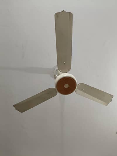 Ceiling fan