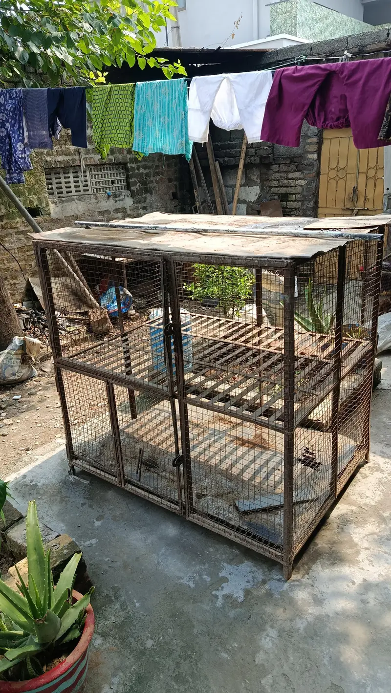 pinjra for sale — photo 2
