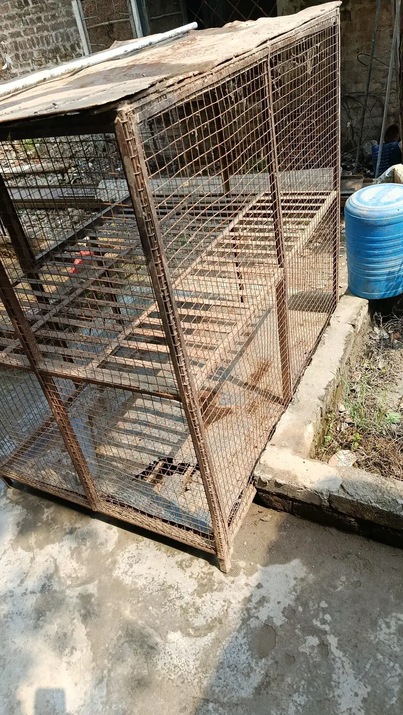 pinjra for sale — photo 3