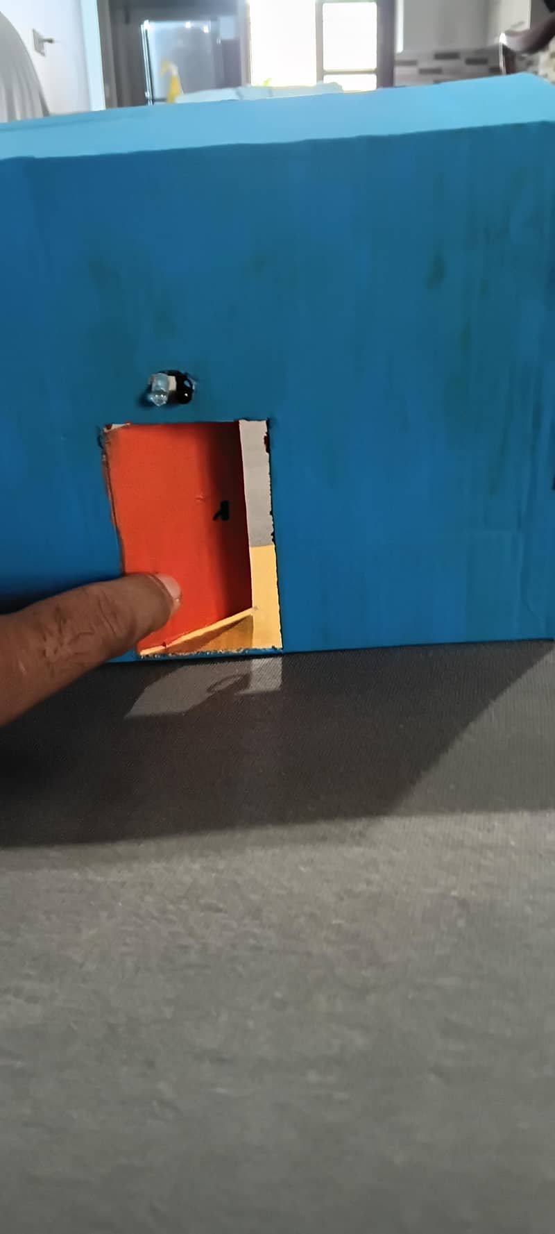 S T E M   PFOJECTS 1