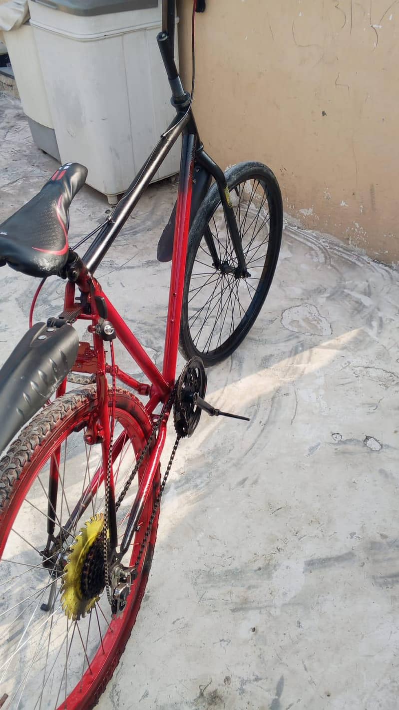 ponex cycleb 5