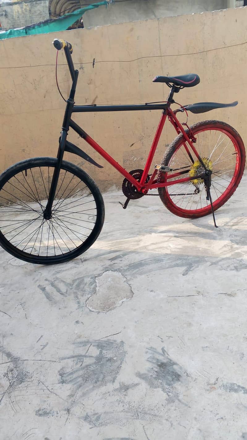 ponex cycleb 6