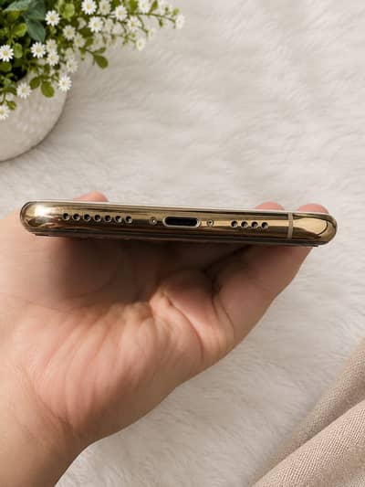 Apple iPhone XS