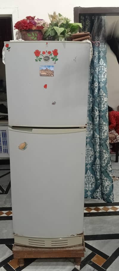 PEL Refrigerator / Fridge in Good Working Condition