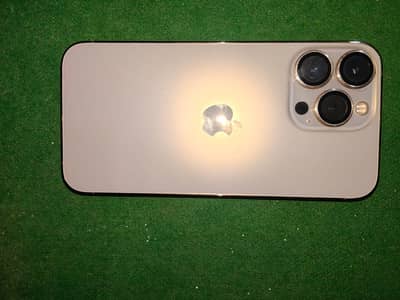 Apple iPhone 13 Pro 10/10