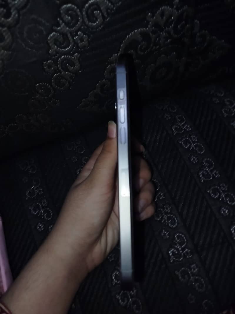 Apple iPhone 15 Pro Max 1
