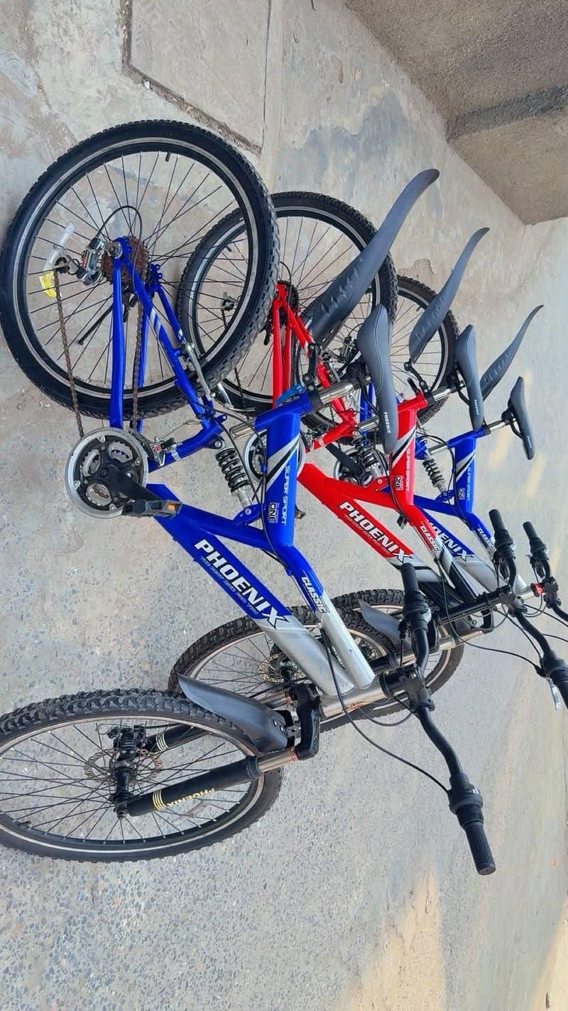Phonix Bicycle 1