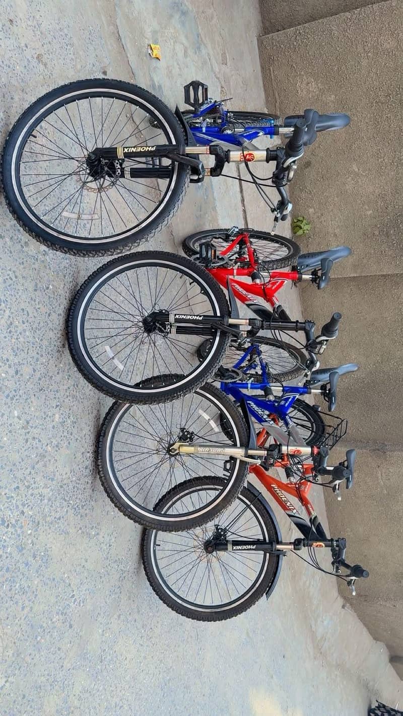 Phonix Bicycle 2