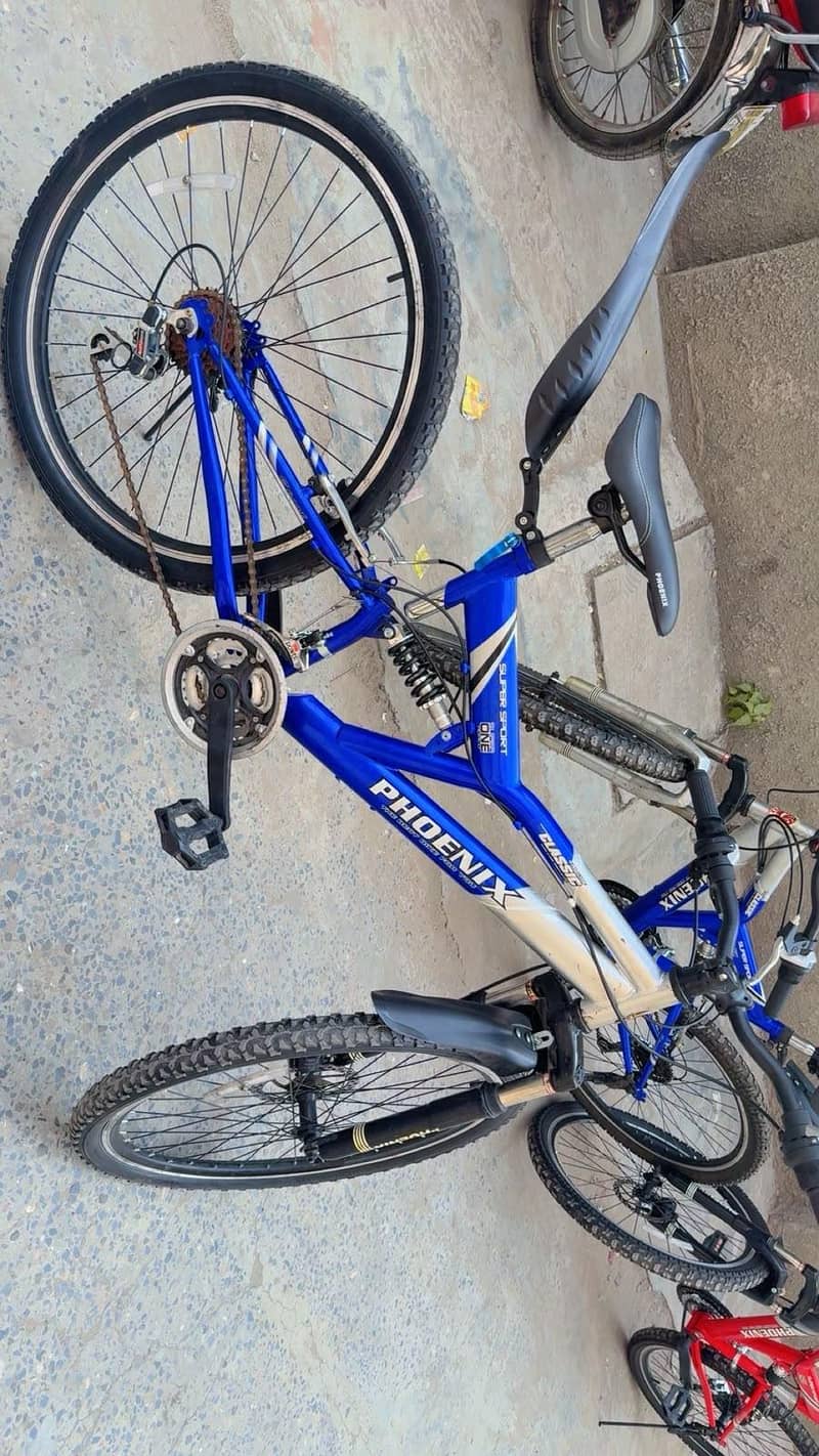 Phonix Bicycle 3