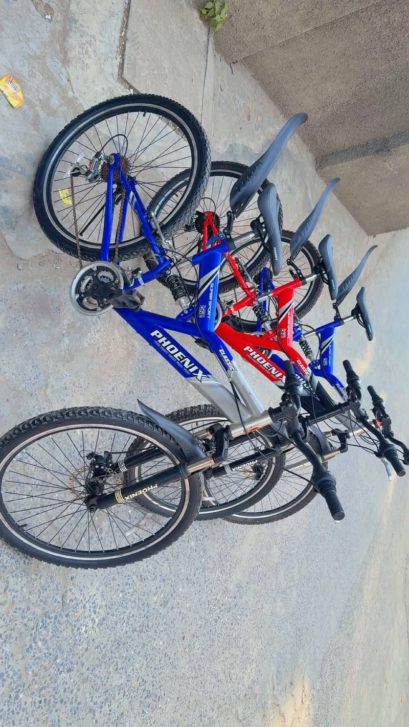 Phonix Bicycle 4