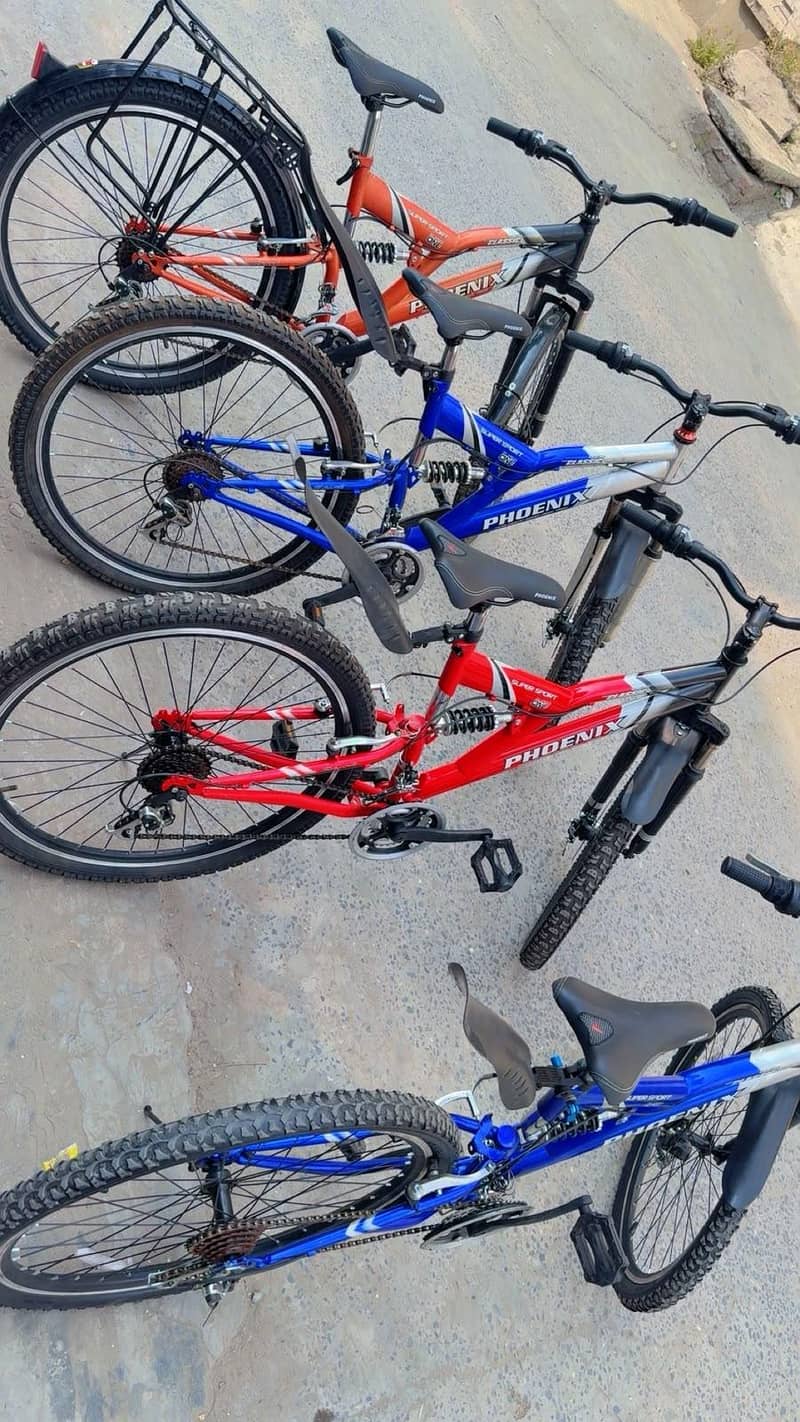 Phonix Bicycle 5