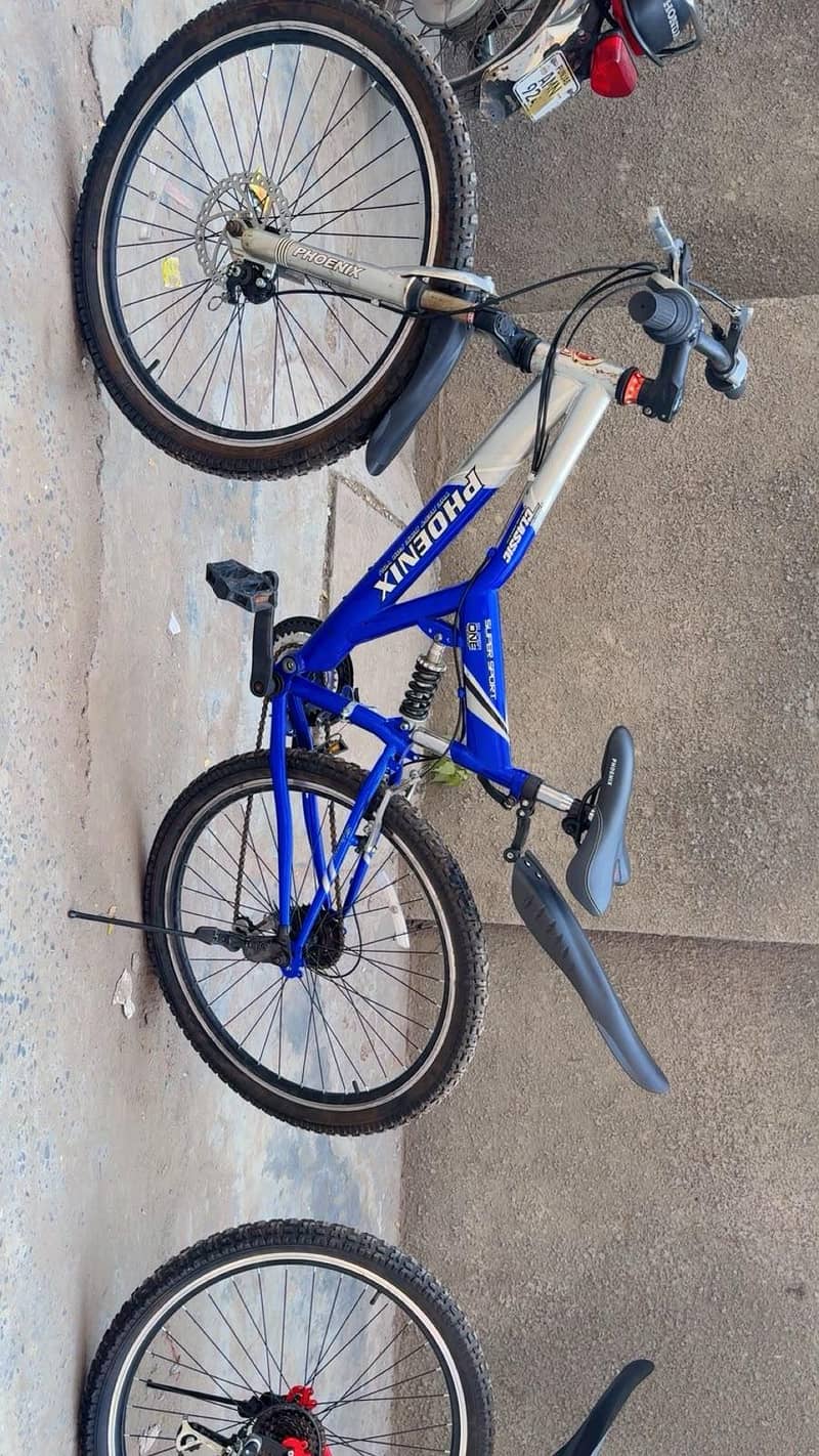 Phonix Bicycle 6