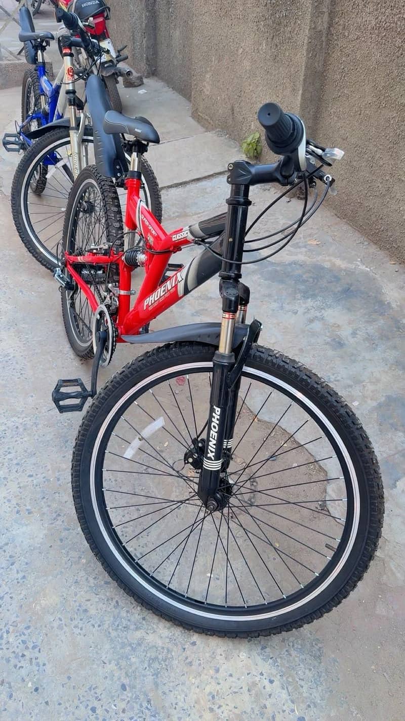 Phonix Bicycle 8