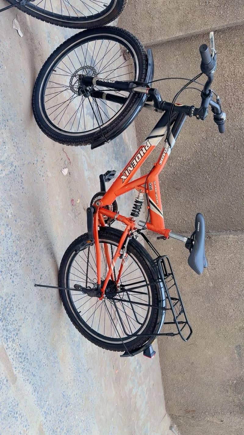Phonix Bicycle 10