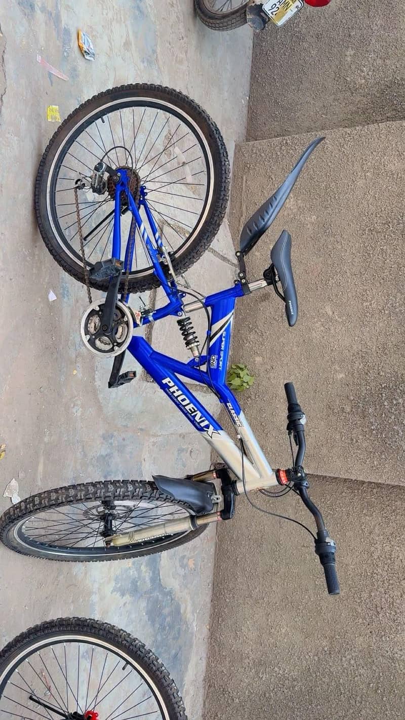 Phonix Bicycle 11