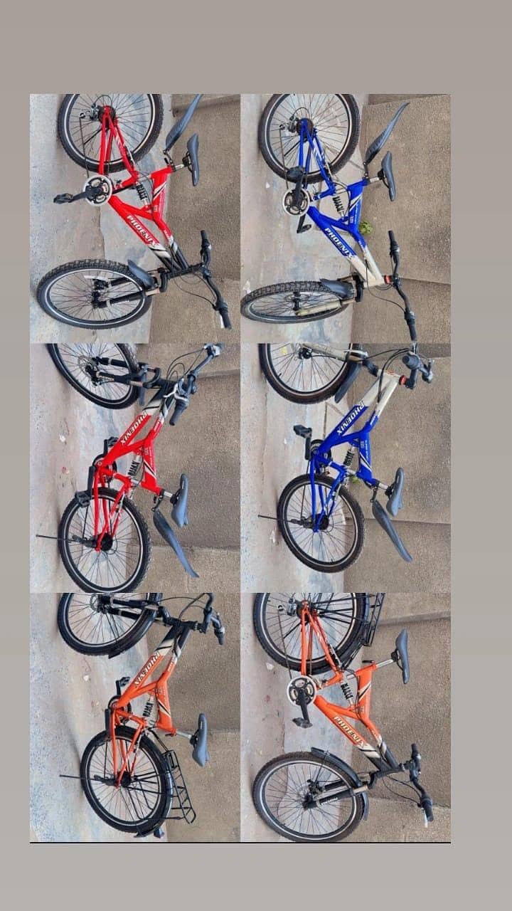 Phonix Bicycle 12