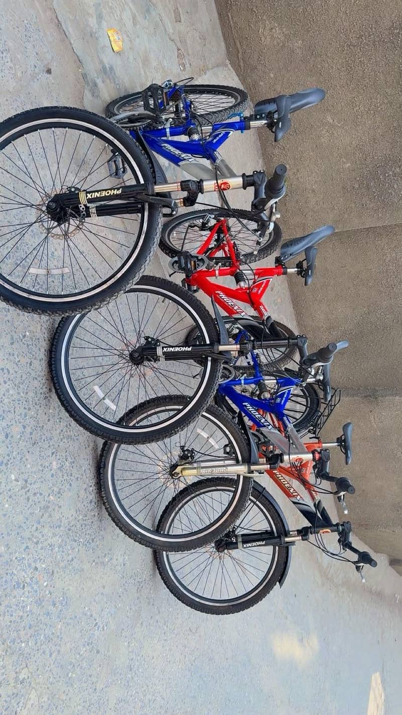 Phonix Bicycle 13